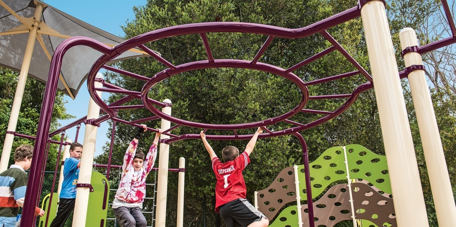 Playground Circular Monkey Bars - Landscape Structures