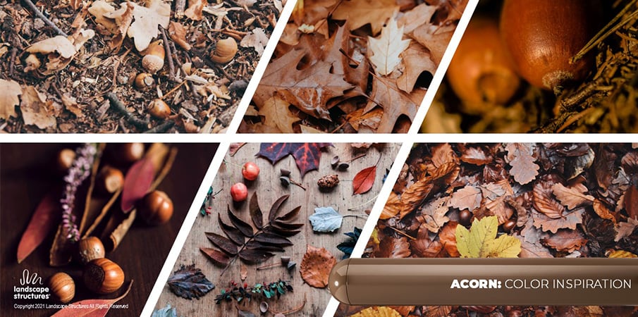 Collage of images of acorns, nuts and brown fall leaves to showcase the inspiration behind the "acorn" paint shade.