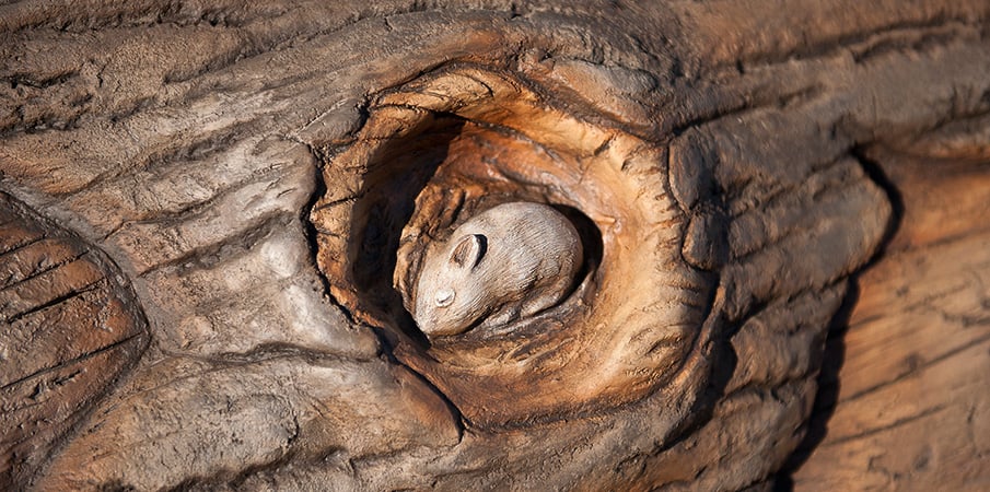 A realistic sleeping mouse carved into the knot of a log crawl tunnel.