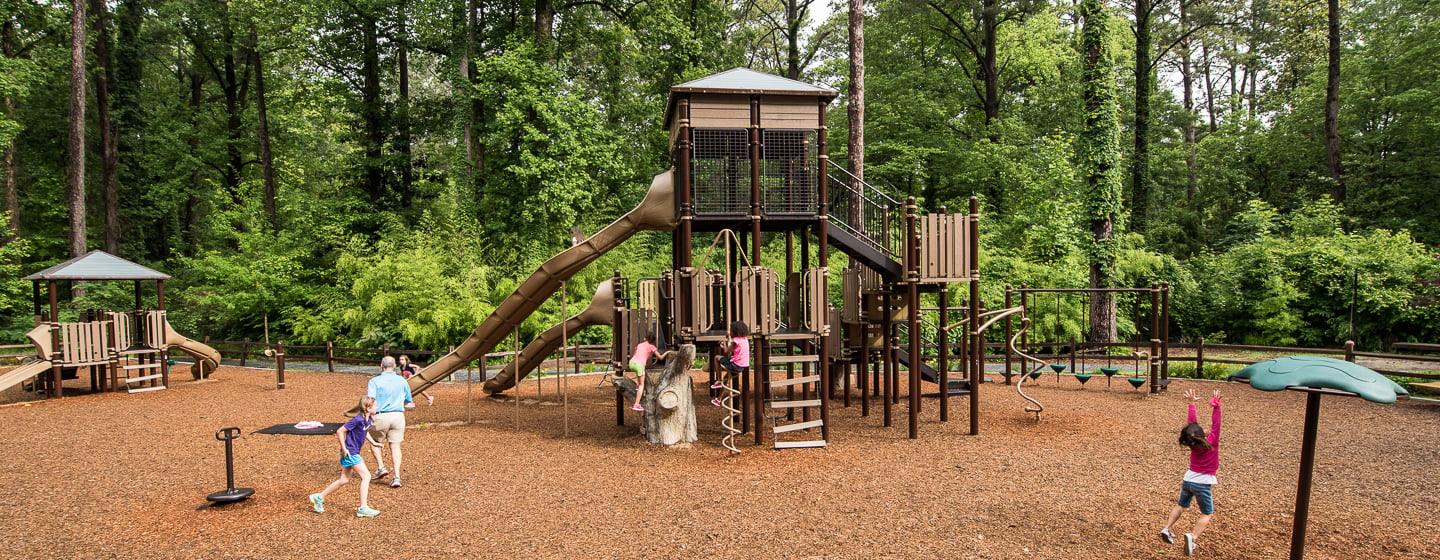 Little Nancy Creek Park - Nature-inspired Custom Playground